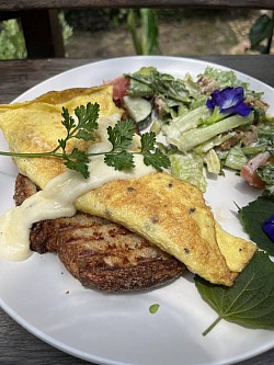 Dip Breakfast omelet on sourdough bread