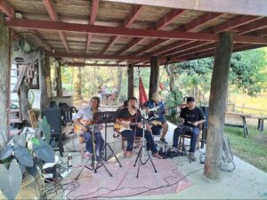 Music in the garden