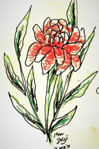 Flower drawing
